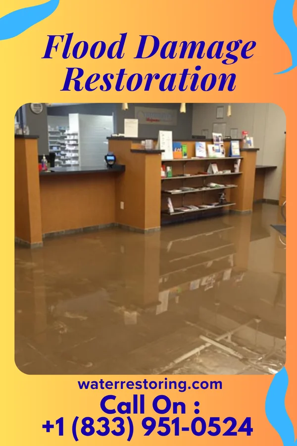 Flood Damage Restoration in Sycamore, GA