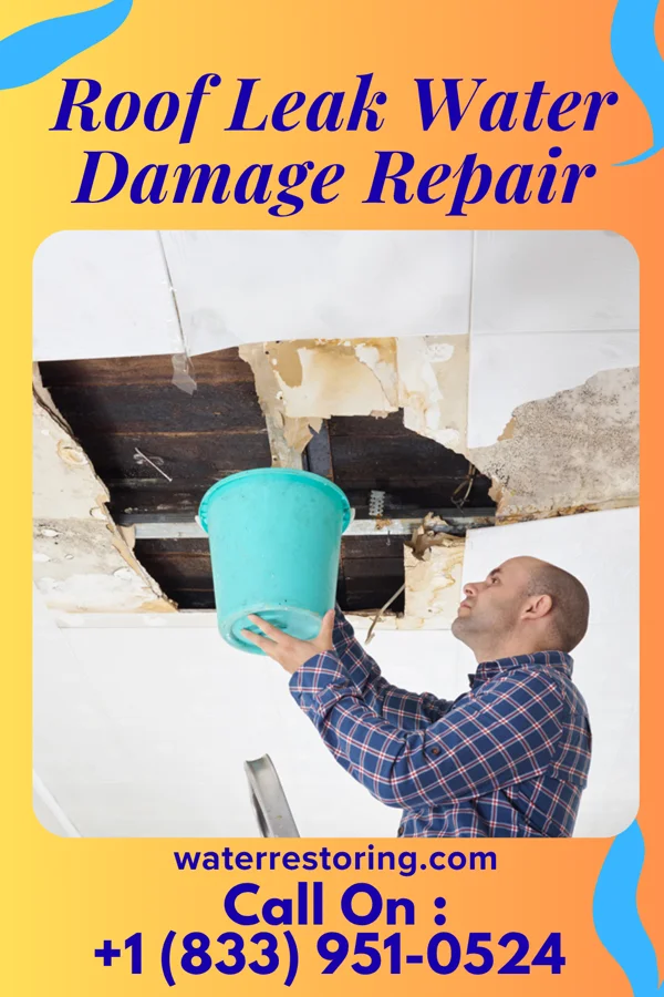 Roof Leak Water Damage Repair in Sycamore, GA