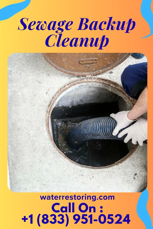 Sewage Backup Cleanup in Sycamore, GA
