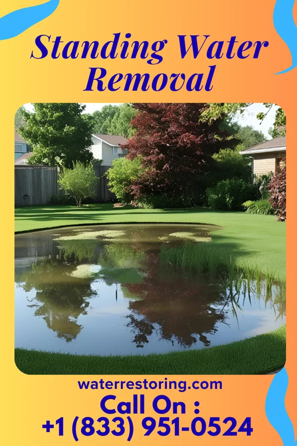 Standing Water Removal in Sycamore, GA